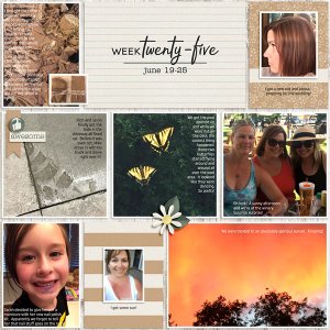 Week 25