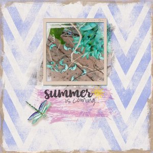 dragonfly summer
