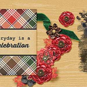 Every day is a Celebration