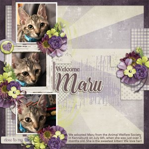 Welcome Maru
