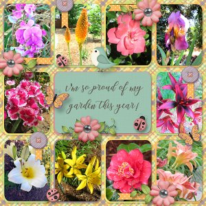 This Years Garden