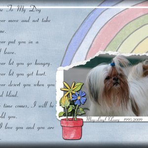 A Promise to My Dog