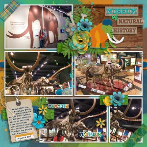 2017 UM Natural History Museum
