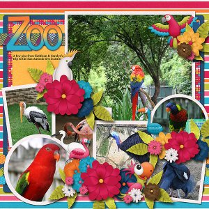 Zoo