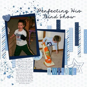 Perfecting in Bird Show