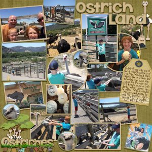 2017 CA Ostrichland