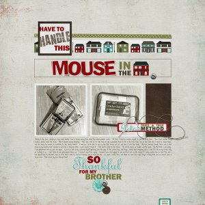 MOUSE in the House