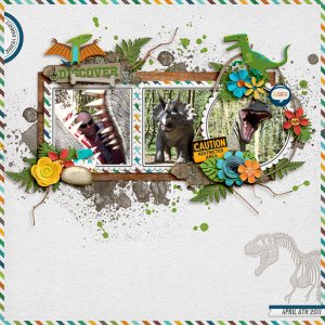 Discover