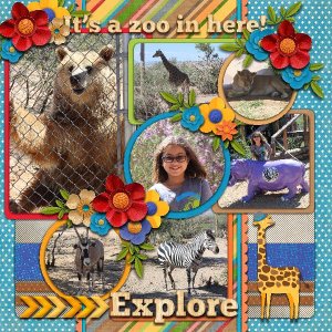 It's A Zoo