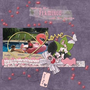 Flamingo
