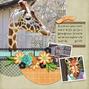 Giraffe Love