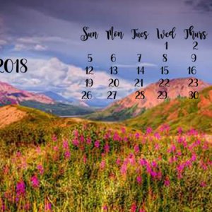 Alaska in Reflection - August 2018 -