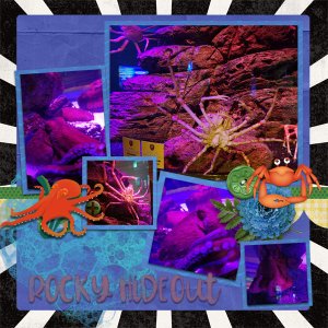 Rock Hide Out 8/13