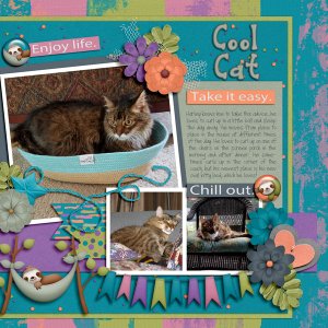 Cool Cat