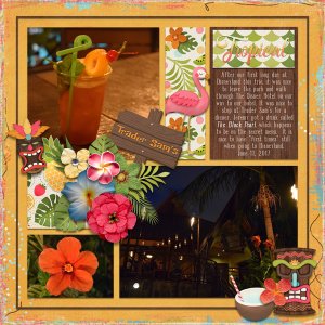 Trader Sam
