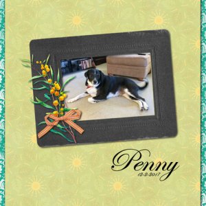 Penny