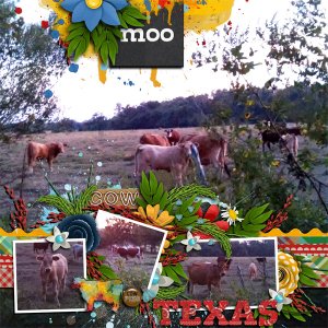 moo