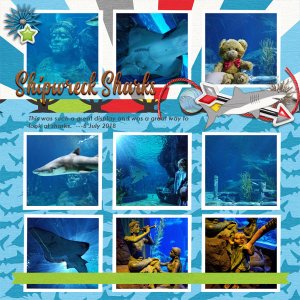 Shipwreck Sharks  12/13