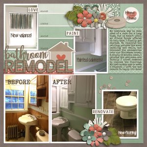 Bathroom Remodel