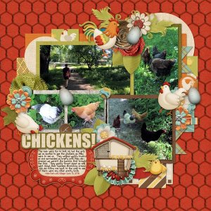 Chickens!