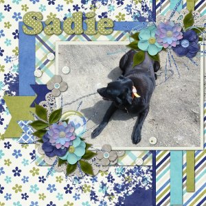 Sadie