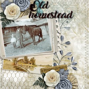 Old-homestead