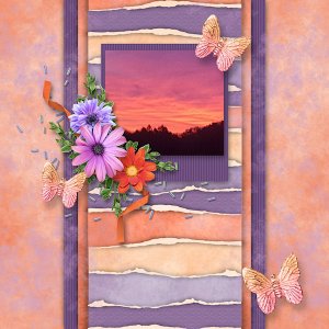 Beautiful Sunset