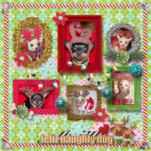 Reindeer Gallery