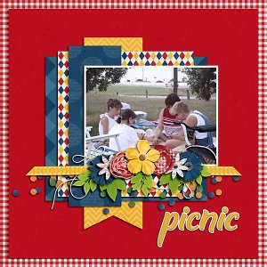 Picnic