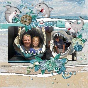 Shark Zone