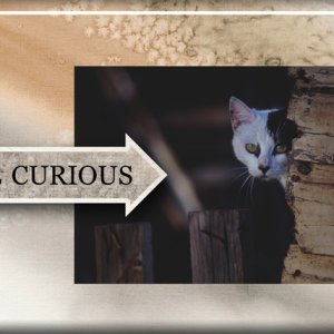 Be Curious