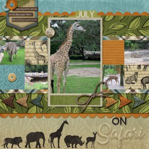 On safari