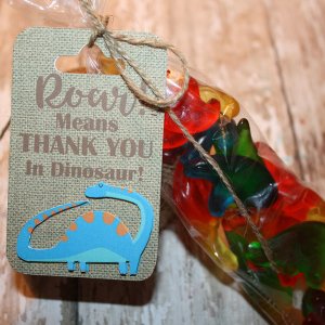 Rawr gift box and gift tag