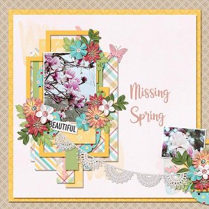 Missing Spring