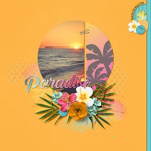 PCB Paradise