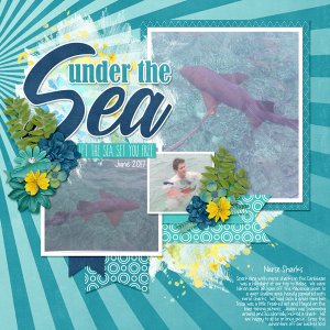June-17-SharksWEB