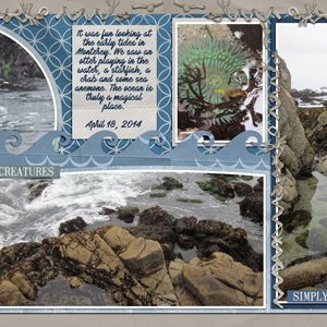 tidepool 2014