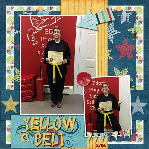 Yellow Belt 2016