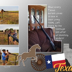 Texas gun storage