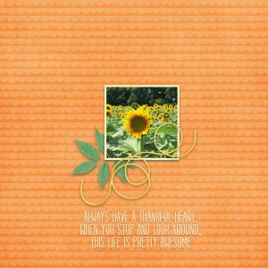Sunflowers