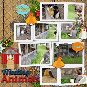 Meeting the Animals