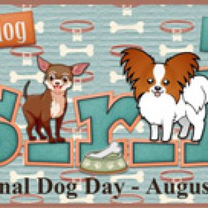 National Dog Day Siggy