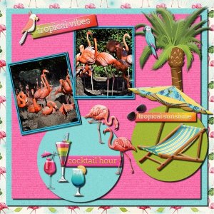 Tropical Thoughts