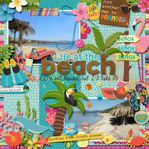 Life at the beach