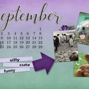 September