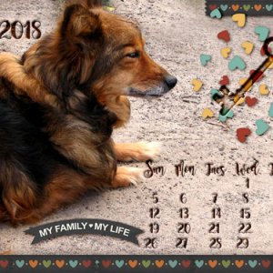 August-1280x800 Desktop
