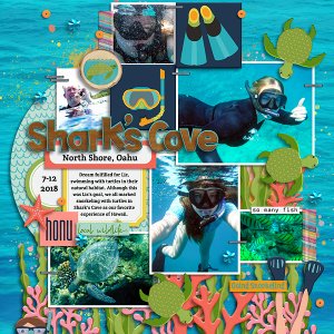 20180712 Snorkeling with Turtles in Hawaii