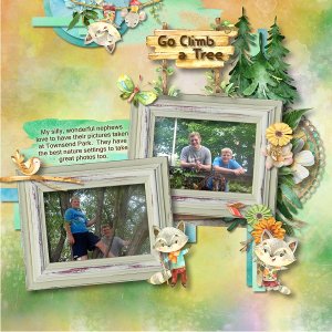 Go Climb a Tree