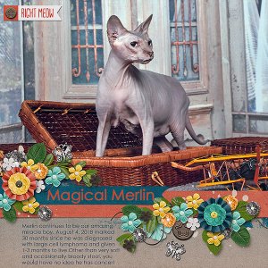 Magical Merlin