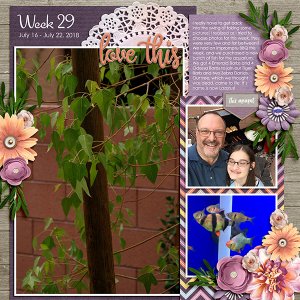 Week 29/52